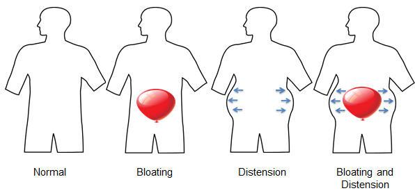 how-to-reduce-bloating-and-anti-bloating-drinks