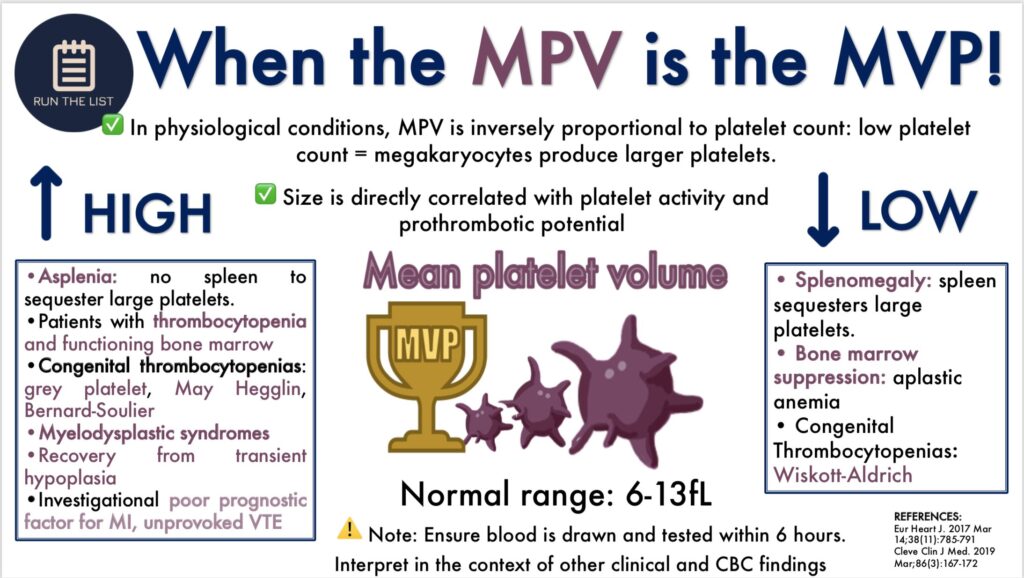 MPV mpv